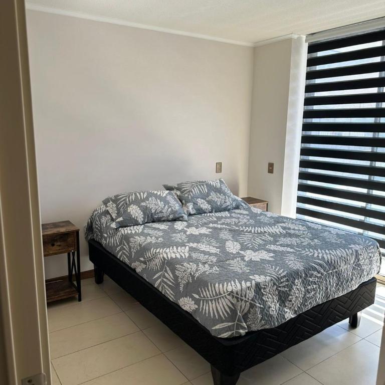 condominio azul 1 - Two-Bedroom Apartment - 9