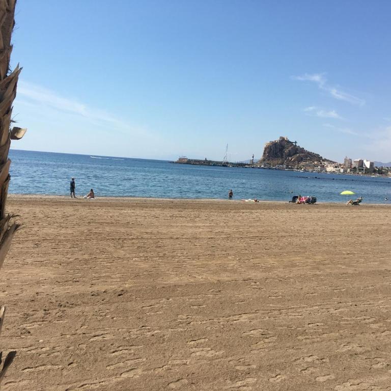 Todosol Dream - Casa de 2 dormitorios - 32