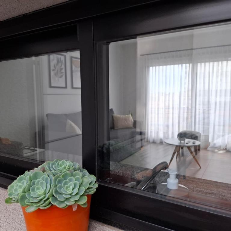 Departamentos del Trébol - One-Bedroom Apartment - 17