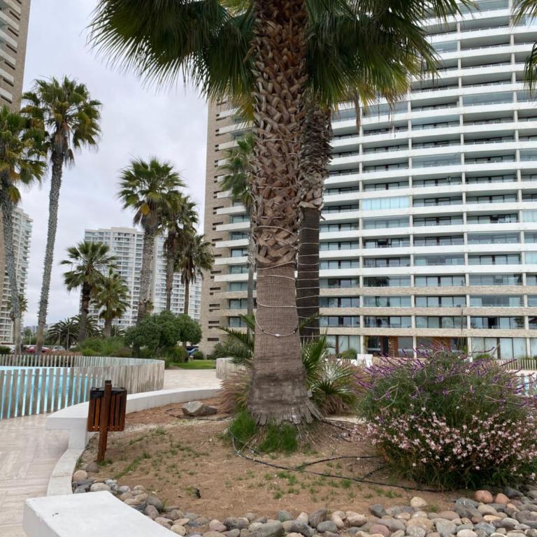 Departamento Costanera La Serena - Two-Bedroom Apartment with Terrace - 15