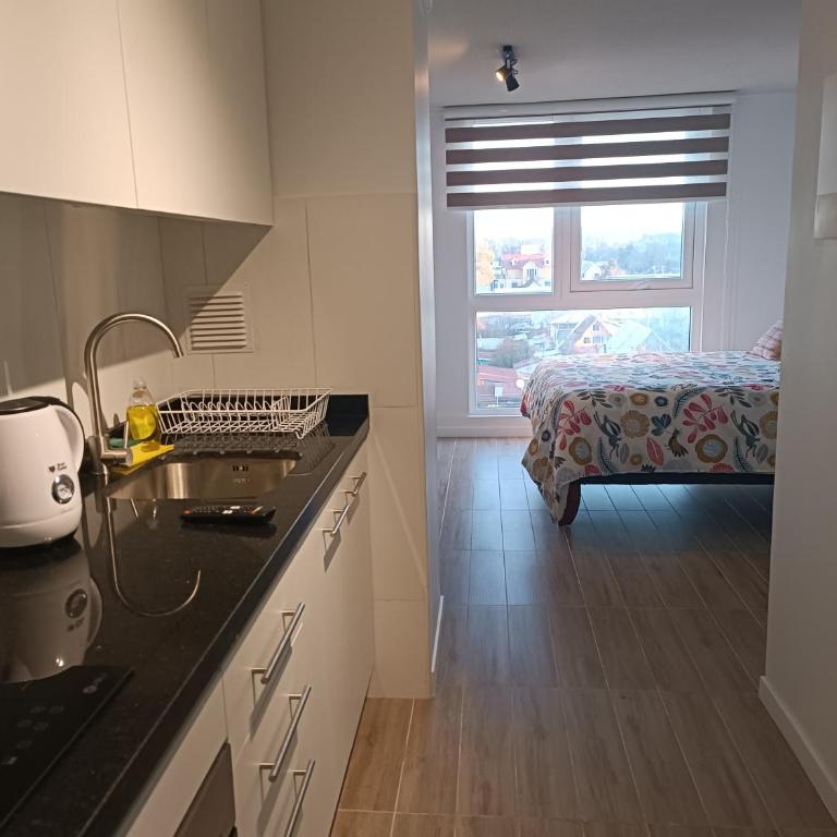 Departamento Isla Teja - One-Bedroom Apartment - 3