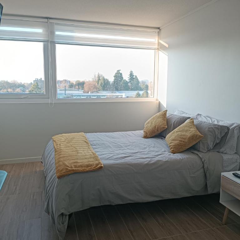 Departamento Isla Teja - One-Bedroom Apartment - 5