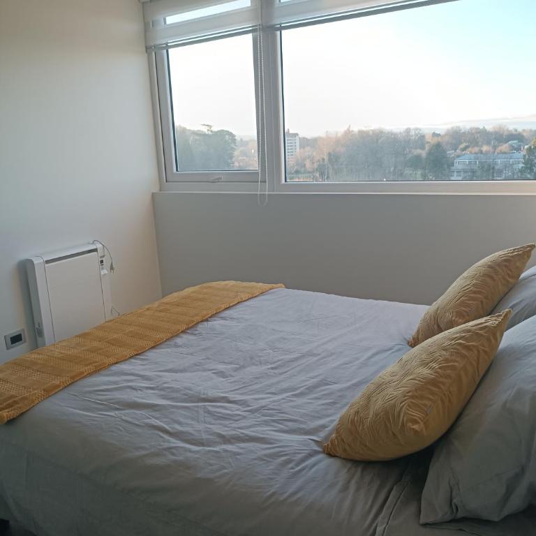 Departamento Isla Teja - One-Bedroom Apartment - 7