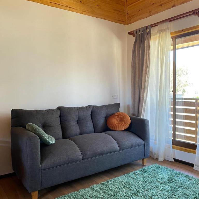 playanorte - One-Bedroom Apartment - 4