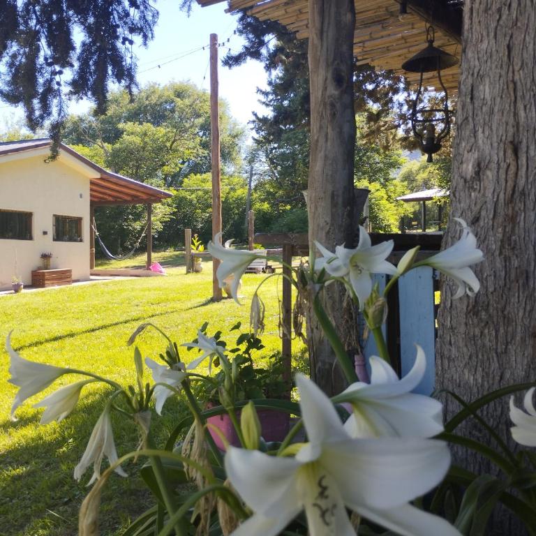 Las Brisas casas de campo un lugar para soñar - One-Bedroom Chalet - 15