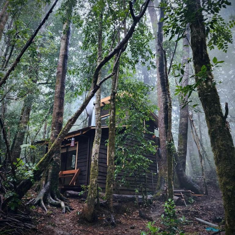 Cabaña Alto del Bosque - Casa con 1 dormitorio - 24