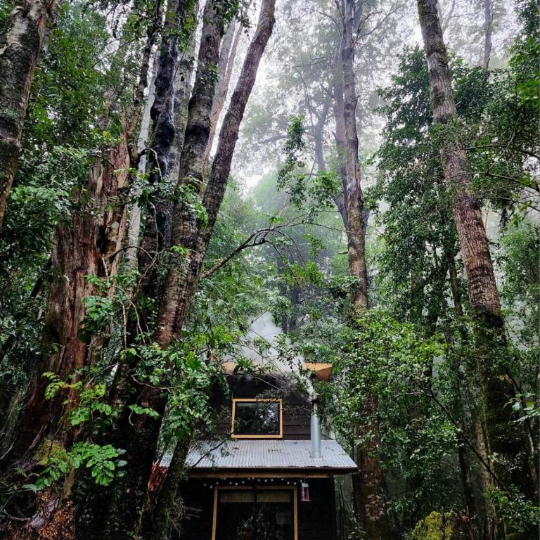 Cabaña Alto del Bosque - Casa con 1 dormitorio - 1
