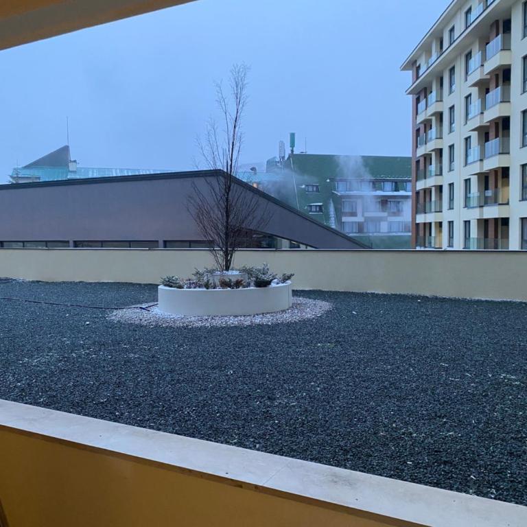 Pine Residence Zlatibor - One-Bedroom Apartment - 15