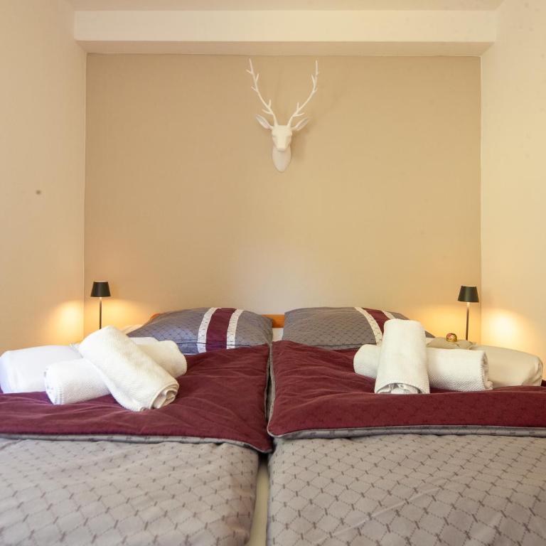 Bergkristall Ruhe und Aussicht auf 1100m - Appartement 1 Chambre - 14