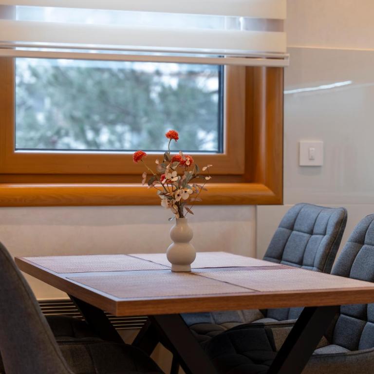 Zlatibor Apartman & SPA Pino Mons 1 - One-Bedroom Apartment with Terrace - 10