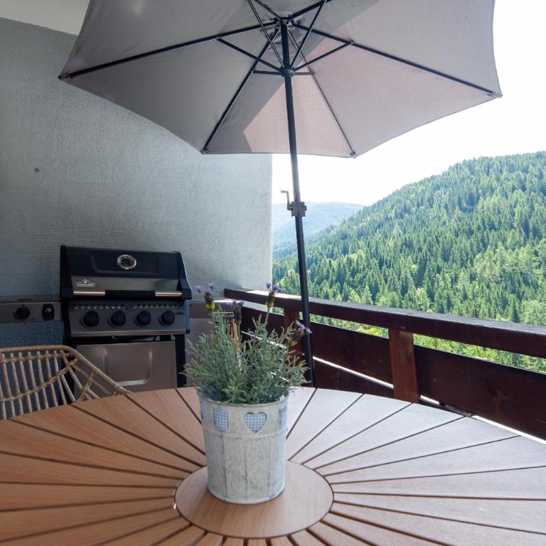 Bergkristall Ruhe und Aussicht auf 1100m - Appartement 1 Chambre - 7