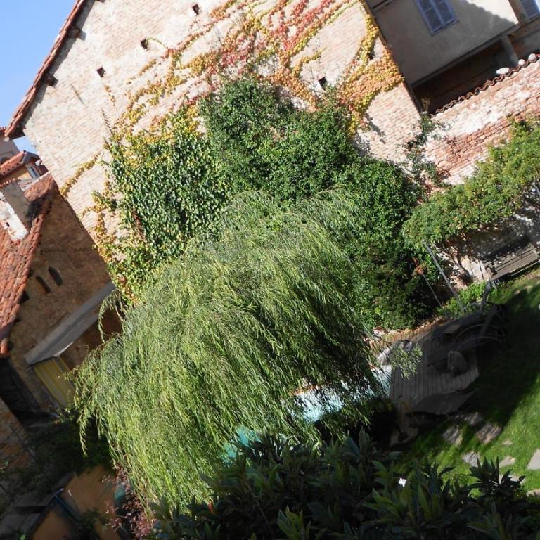 Lori's Inn - Appartement avec Balcon - 23