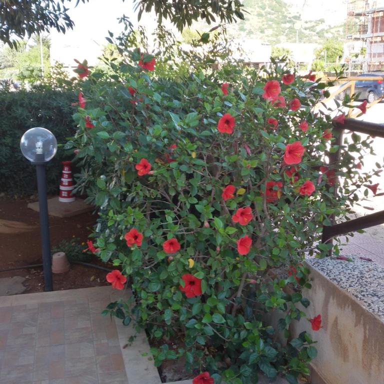 Appartamento con Giardino - WIFI - Appartamento con Vista Giardino - 19