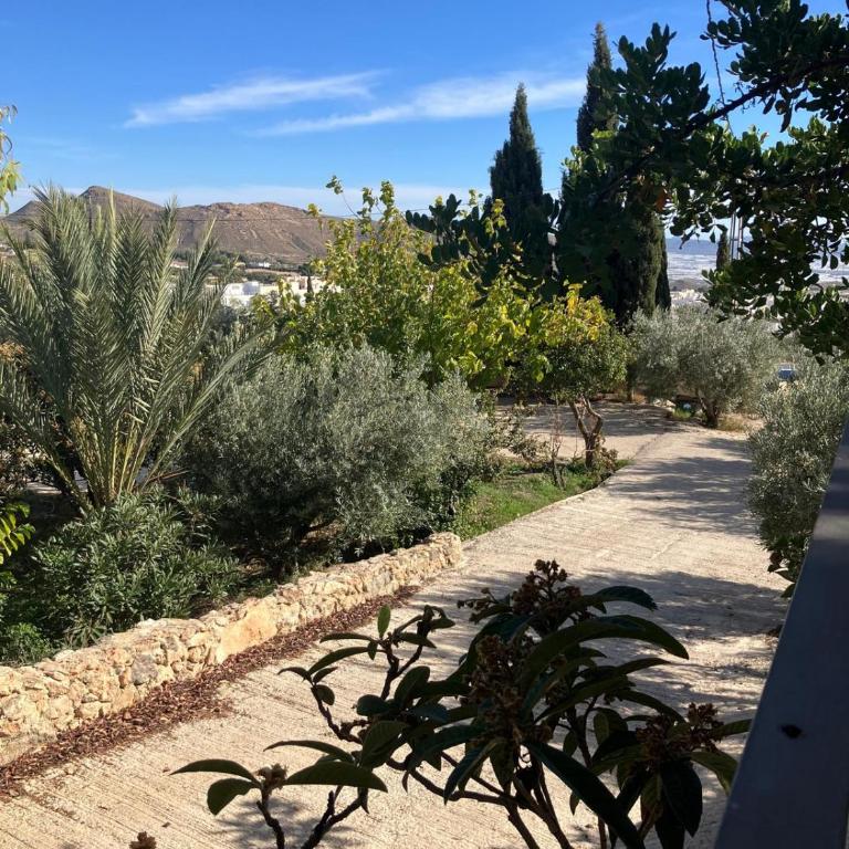 El Paraiso Nijar - Casa de 3 dormitorios - 8
