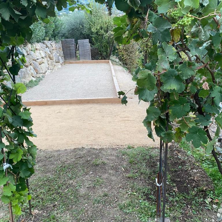 Domaine Ousta Baio - Villa - 30