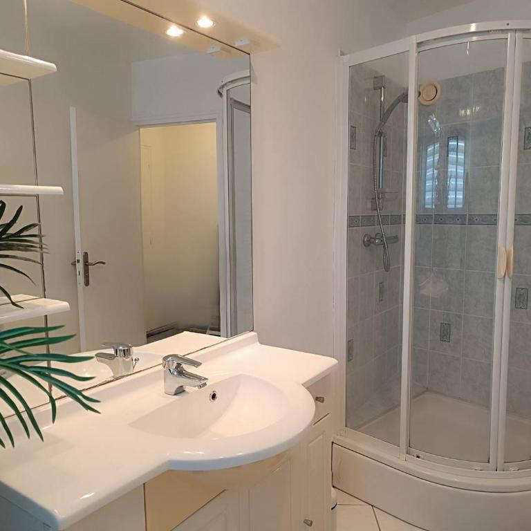 Bel appartement avec WIFI, VUE MER face au port de plaisance à PERROS-GUIREC - Réf 838 - Apartment mit 1 Schlafzimmer - 4