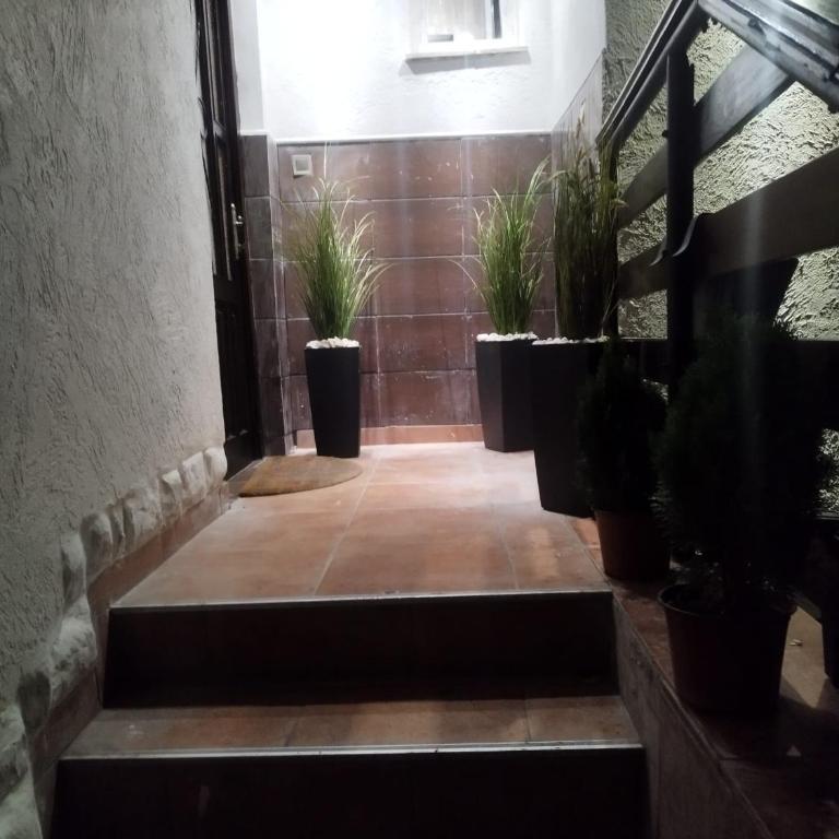 Nascosto Alla Vista - Three-Bedroom Apartment - 2