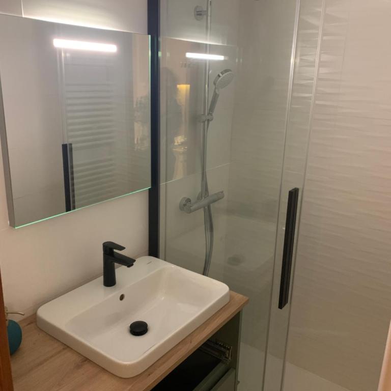 Appart 1 chambre terrasse sud 4 pers - Apartment mit 1 Schlafzimmer - 14