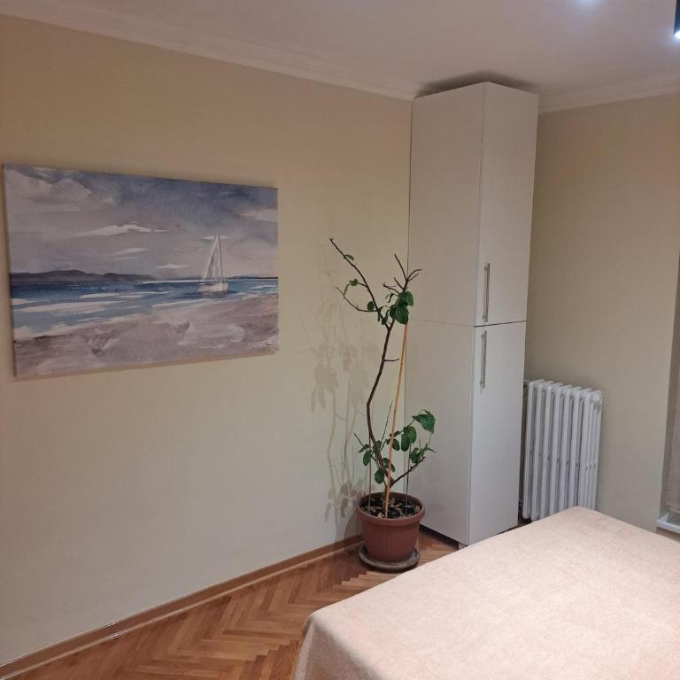 Brana - One-Bedroom Apartment - 12