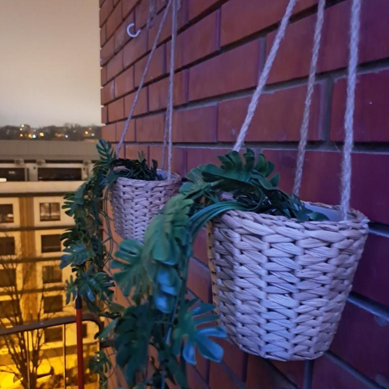 Brana - One-Bedroom Apartment - 17
