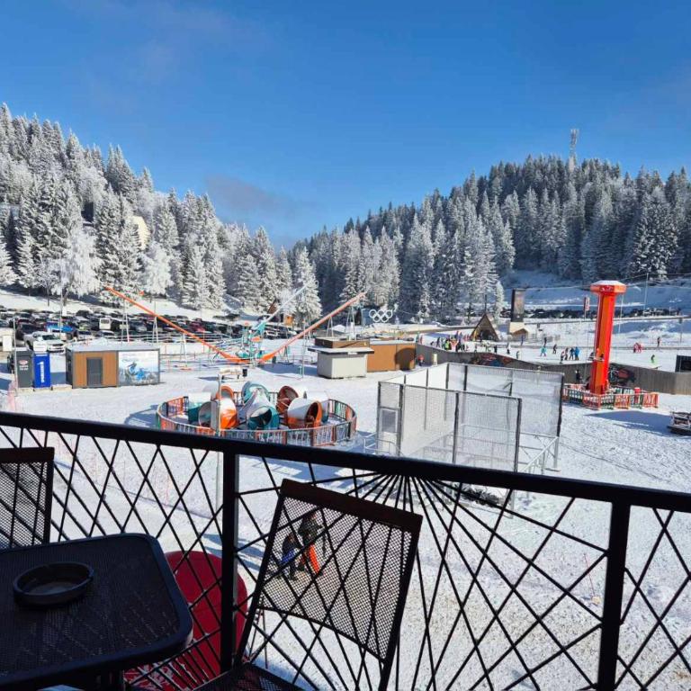 Apartman Savic Jahorina - One-Bedroom Apartment - 12