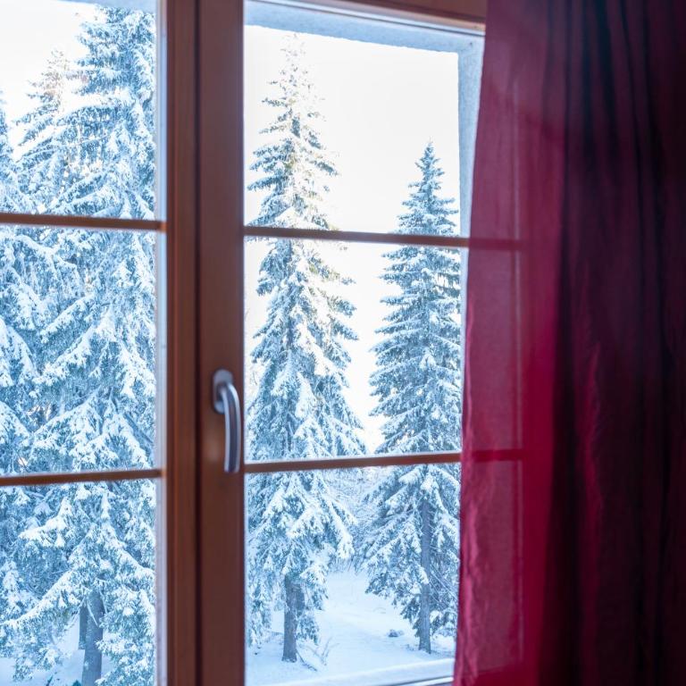 Vila Gora Jahorina - Triple Room with Mountain View - 7