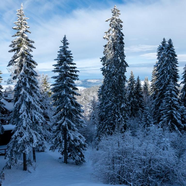 Vila Gora Jahorina - Double Room with Mountain View - 8