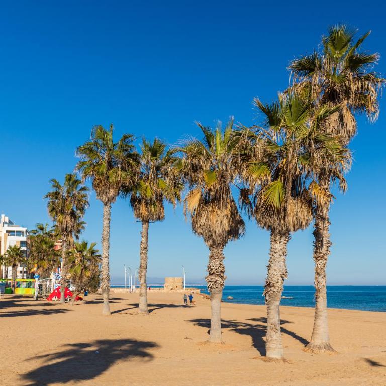 Casa del Mar Playa de La Mata - Apartamento de 3 dormitorios - 29