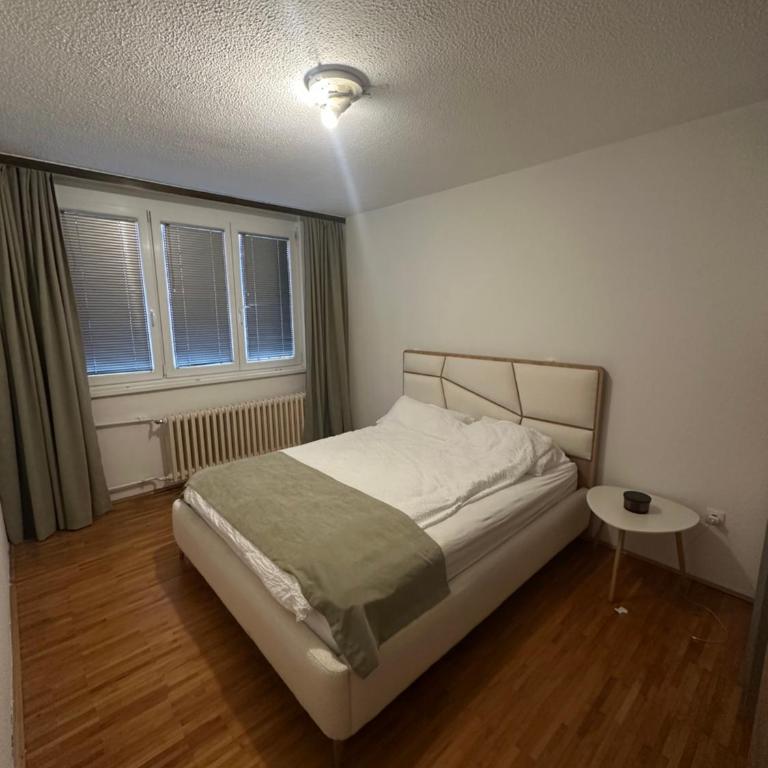Nova-Sarajevo Central Apartment - Apartman sa 2 Spavaće Sobe - 3