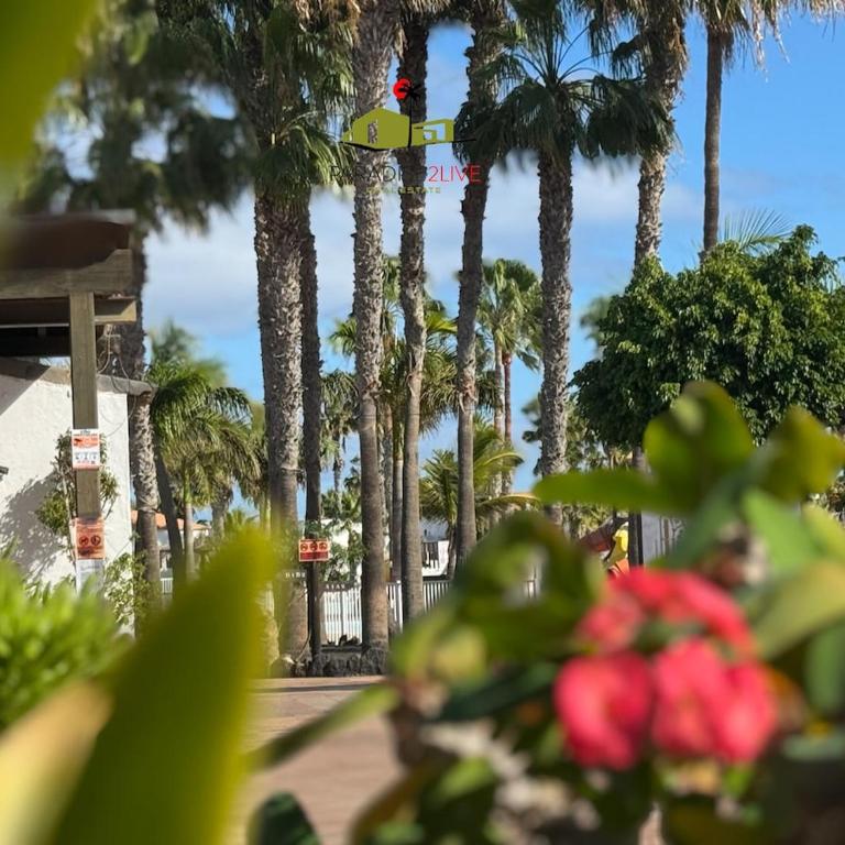 Casa Dudu - Apartamento de 1 dormitorio - 17