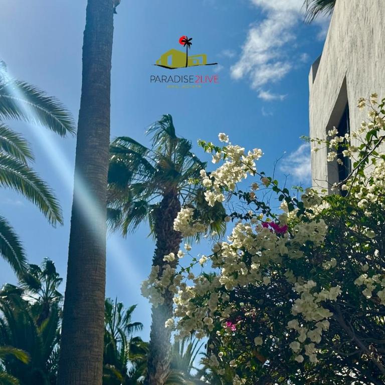 Casa Dudu - Apartamento de 1 dormitorio - 22