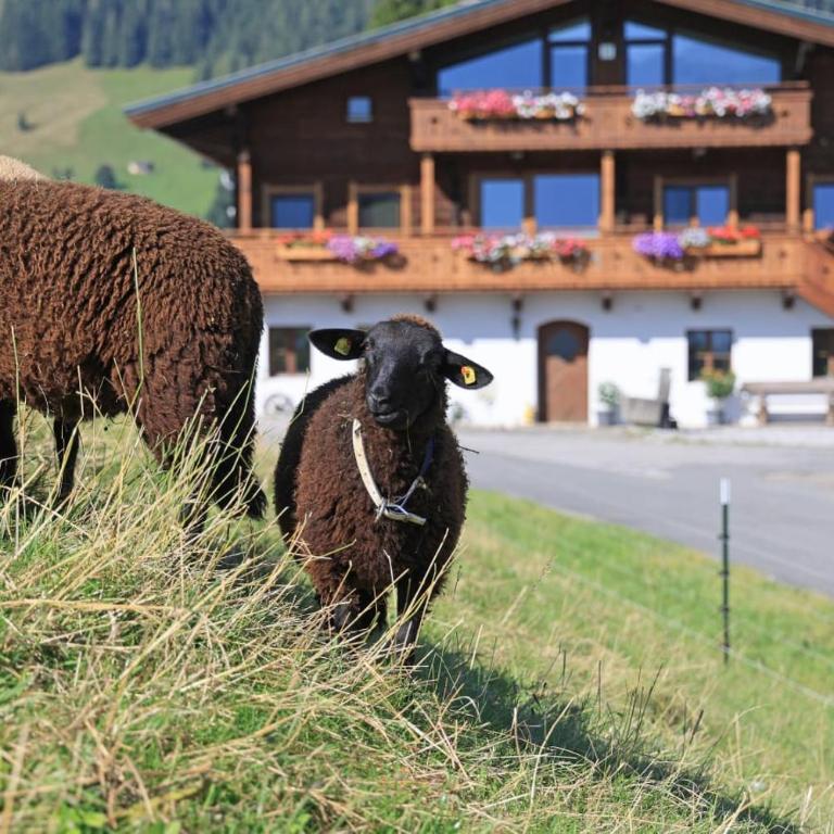 Hörlbauer-Leogang - Apartment mit 2 Schlafzimmern - 1
