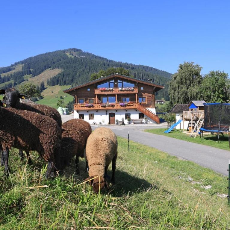 Hörlbauer-Leogang - Apartment mit 2 Schlafzimmern - 64