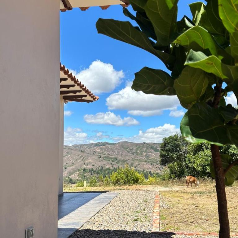 Casa Pistacho - Casa de 3 dormitorios - 3