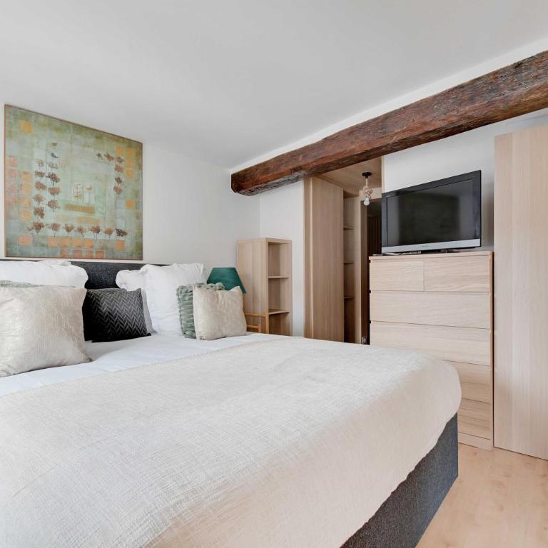 Stunning Duplex 1BR- 4P - Notre-Dame Cathedral - Appartamento - 13