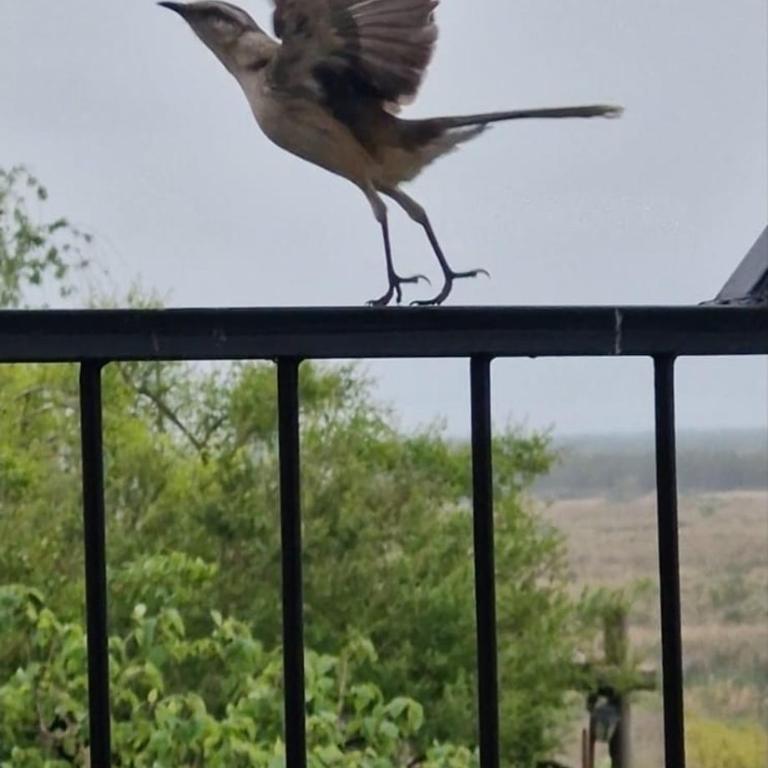 Casa vista al Rio Parana Vuelta de Obligado - Casa de 2 dormitorios - 12