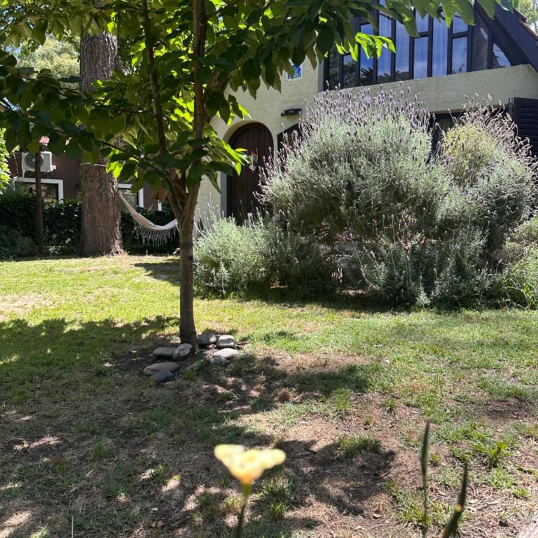 Cabaña Alpina del bosque! - Casa con 1 dormitorio - 35