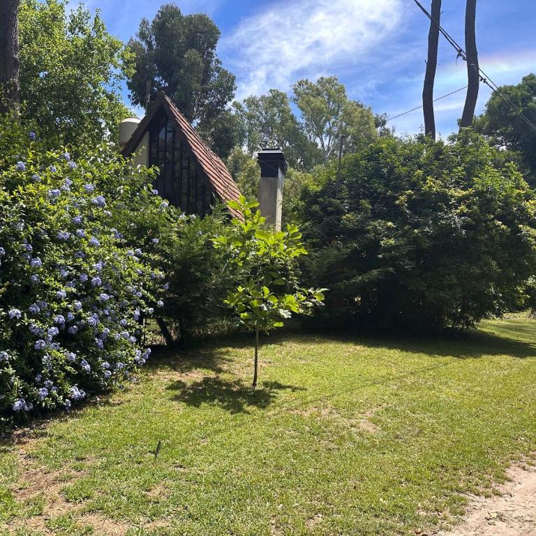 Cabaña Alpina del bosque! - Casa con 1 dormitorio - 36