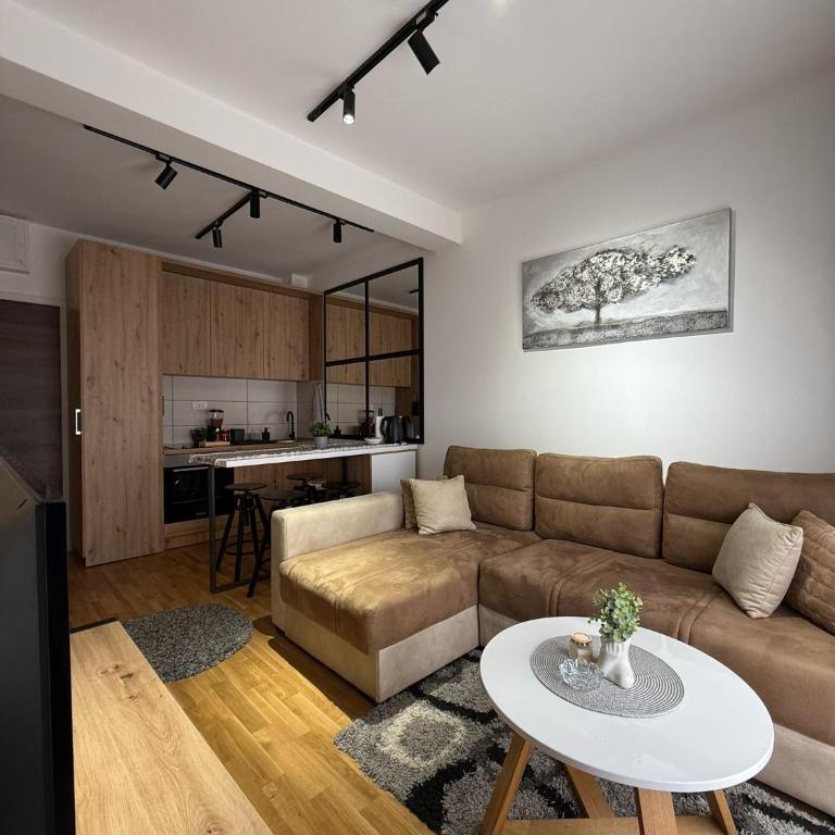 Vision apartmani Vrnjačka Banja - Apartman sa 1 Spavaćom Sobom - 1