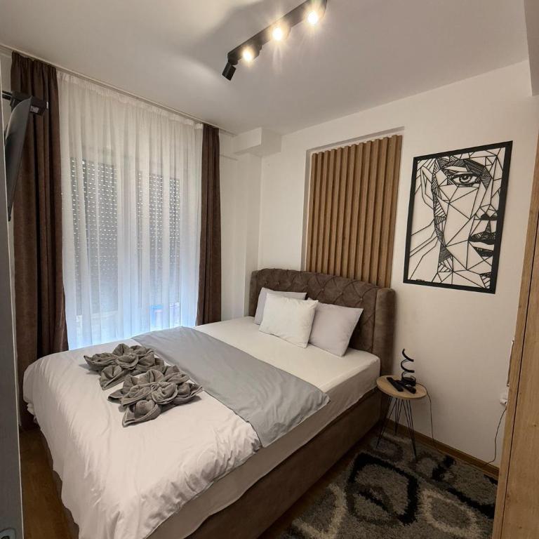 Vision apartmani Vrnjačka Banja - Apartman sa 1 Spavaćom Sobom - 5