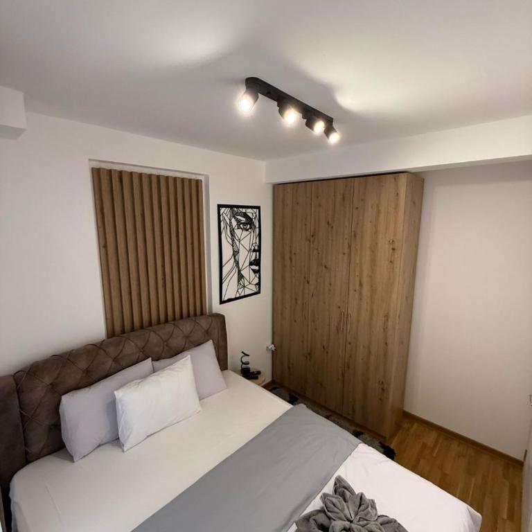 Vision apartmani Vrnjačka Banja - Apartman sa 1 Spavaćom Sobom - 8