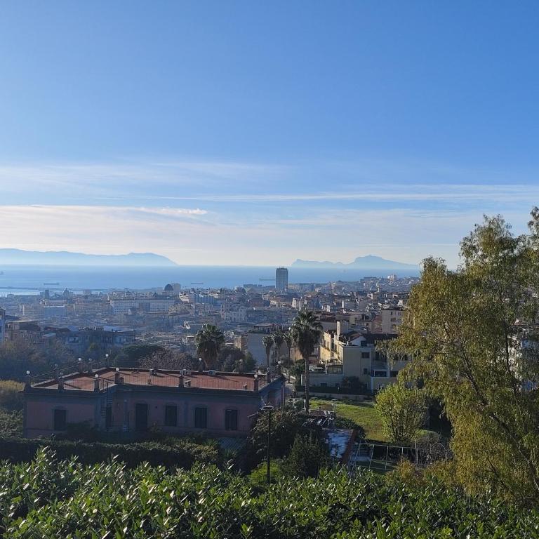 Maioliche e Porcellane - Appartamento con 1 Camera da Letto - 25