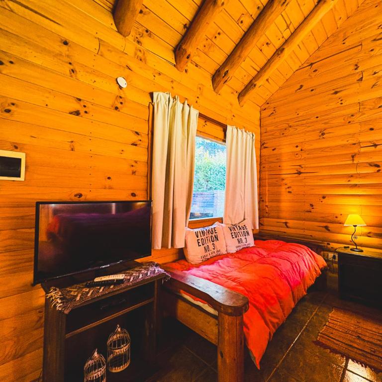 Natur haus - One-Bedroom Apartment - 6