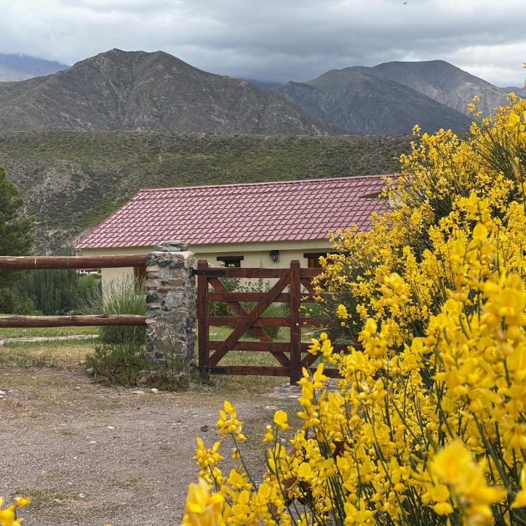 El Mirador - Chalet de 2 dormitorios - 4