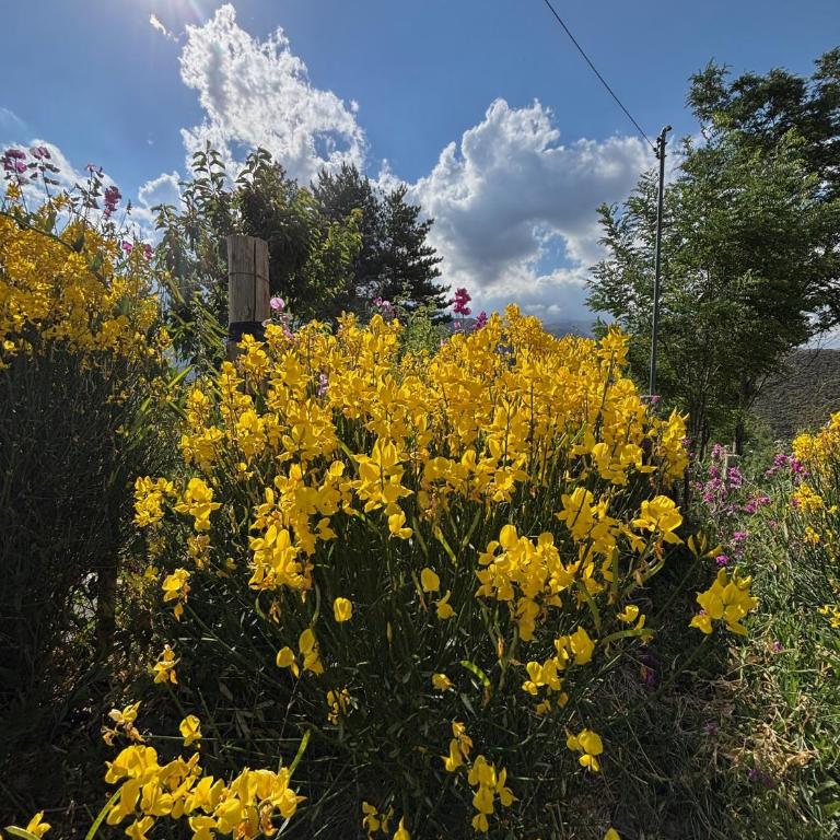 El Mirador - Chalet de 2 dormitorios - 23