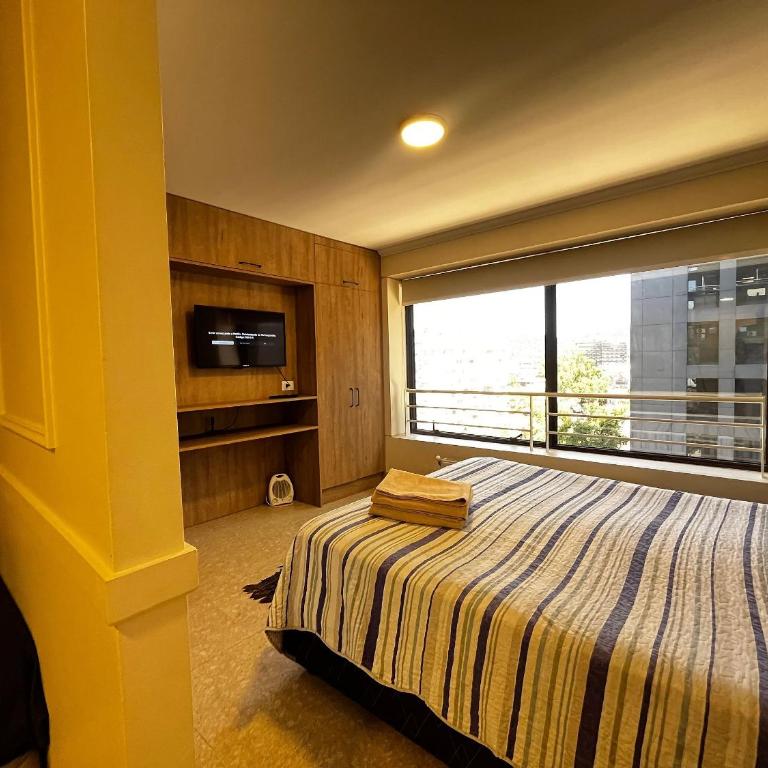 Living Valdivia - Estudio Triple Estándar - 6