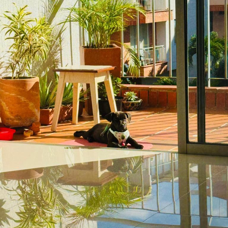 Apartamento 402-G San Gil - Apartamento de 2 dormitorios - 12
