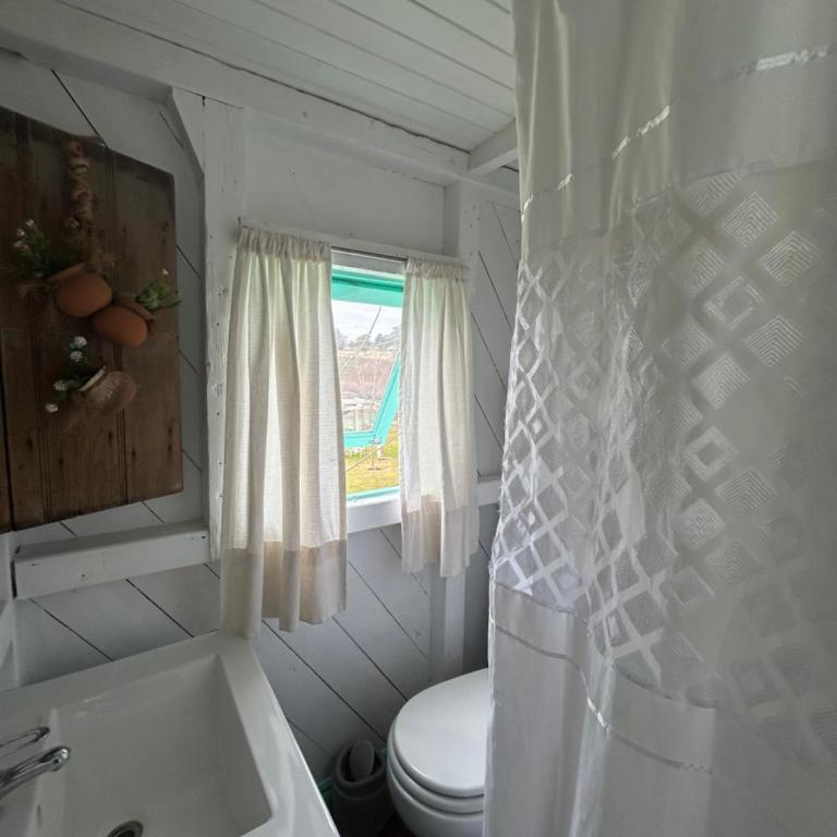 Viejo Bueno - Casa con 1 dormitorio - 5