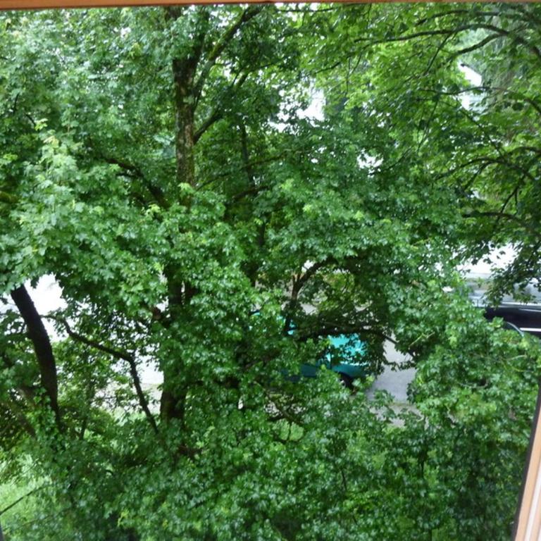 Oktoberfest 5min - Double Room with Shared Bathroom - 10
