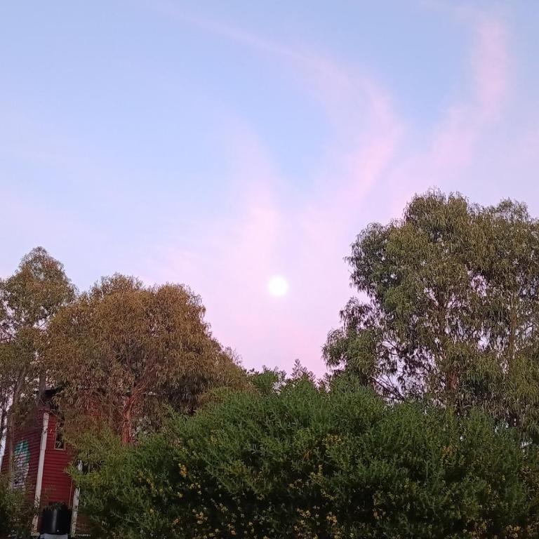 MiceLuz - Casa con 1 dormitorio - 9